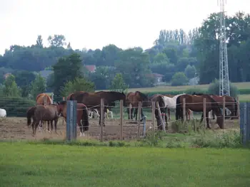 Roborst (België)